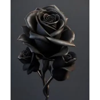Shine Black Rose